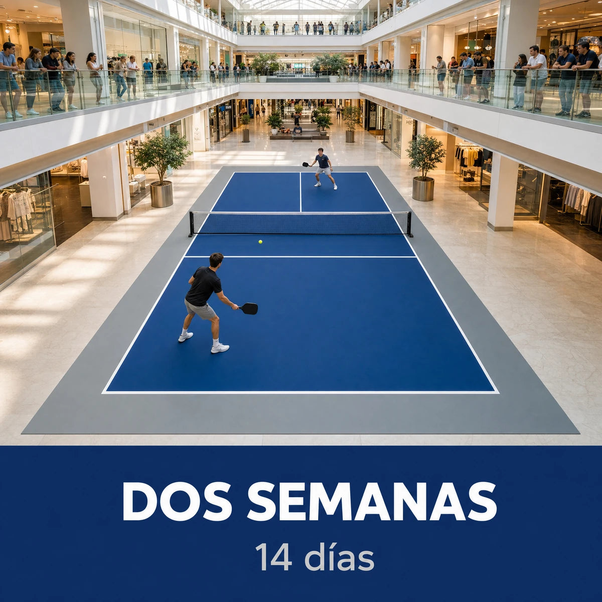 Alquiler de pista de pickleball portátil durante dos semanas, catorce días